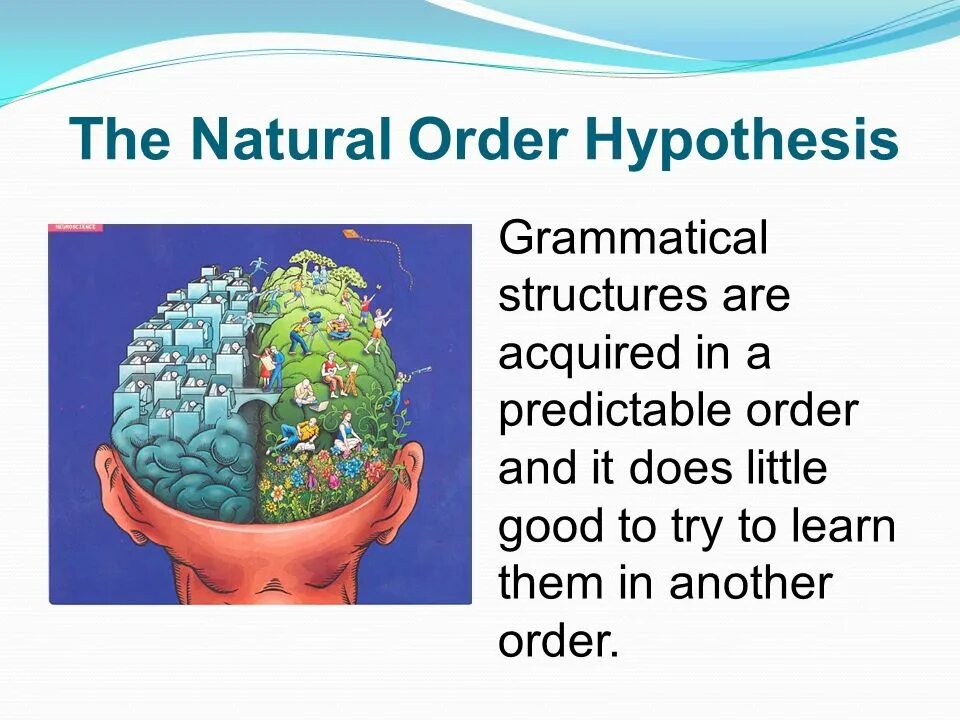 Input hypothesis. Second language acquisition terms. Examples of acquisition-learning hypothesis. Krashen's i+1 hypothesis. Hellbastard logo.