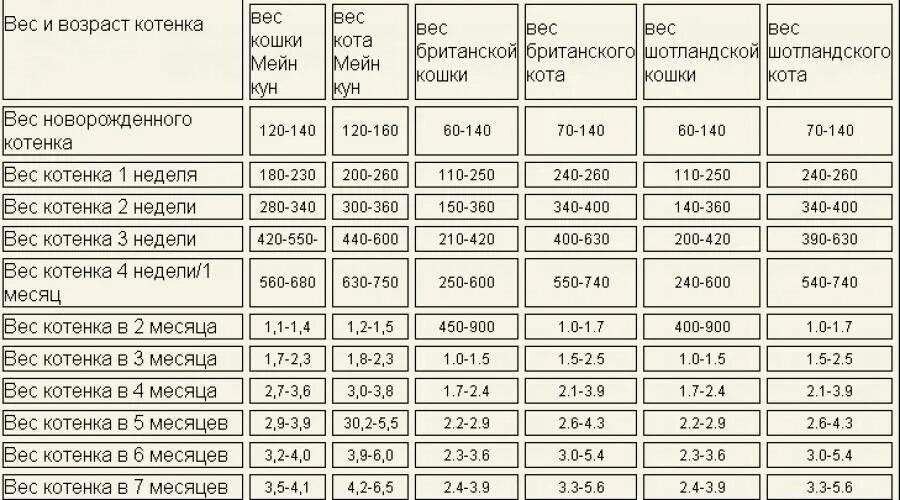 Вес котенка в 2. Вес котенка в 2 месяца норма таблица. Рост и вес котят по месяцам таблица. Норма веса кошки в 2 месяца. Вес котов британцев по возрасту таблица.