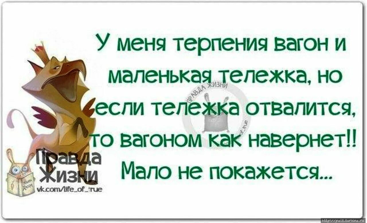 Терпение в работе. Терпение смешные картинки. терпение цитаты смешные. смешные фразы про терпение. веселые цитаты про терпение.
