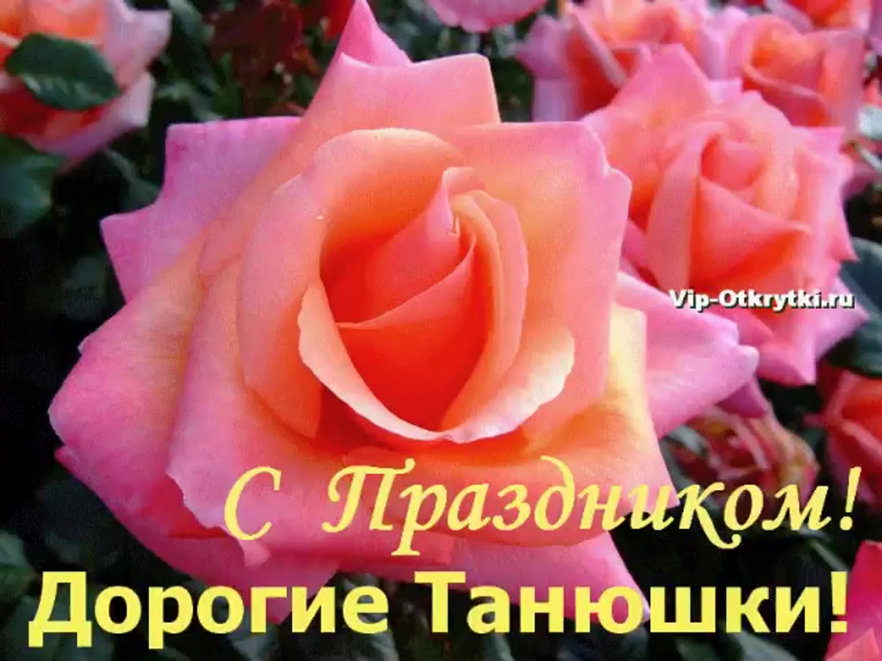 Тани танечки танюши с праздником открытки. Открытка "в день татьяны!". Татьянин день открытки с поздравлениями. С днем татьяны. Татьянин день поздравление.