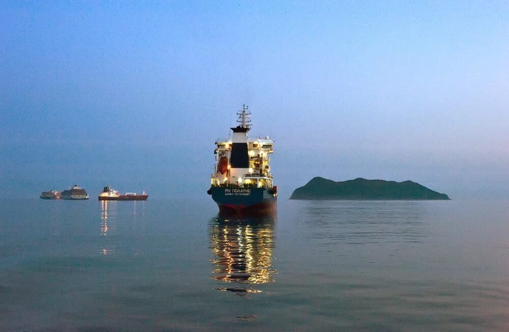 Осьминог дофлейна гигантский. Использование человеком японского моря. Ресурсы японского моря кратко. Находка японское море. Экологические проблемы охотского мо.