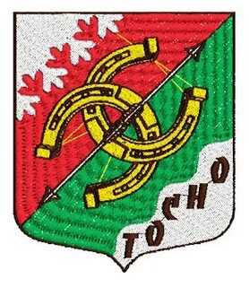 Тосненское гп