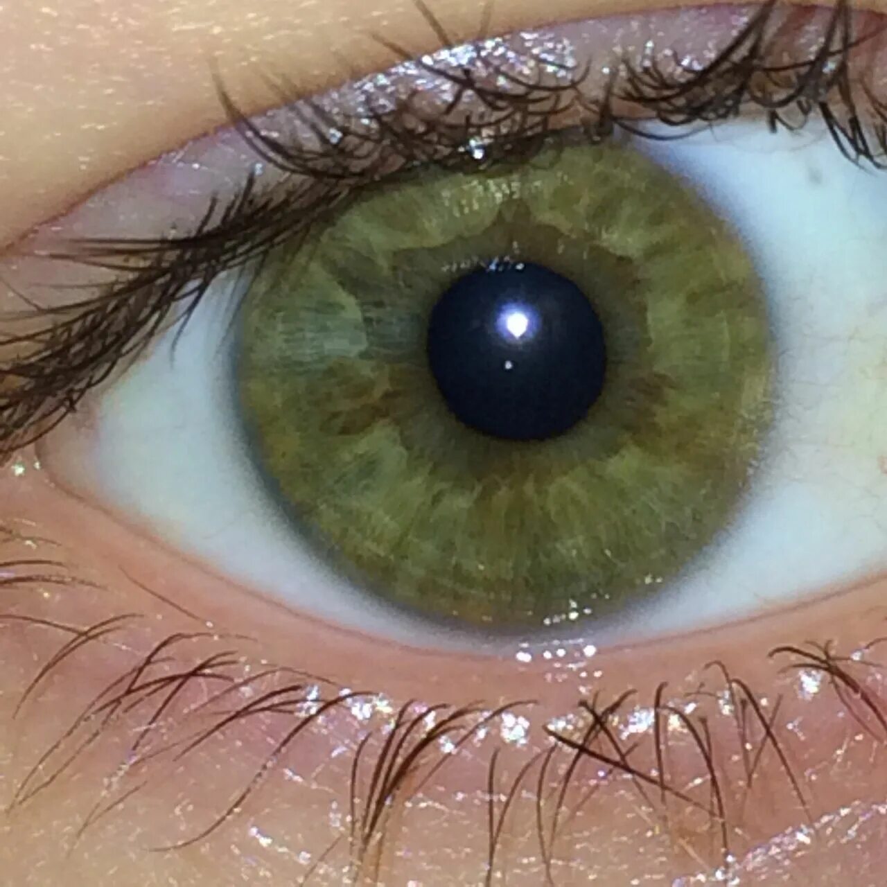 Как выглядят голубо зеленые глаза Файл:Hazel green eye close  Википедия