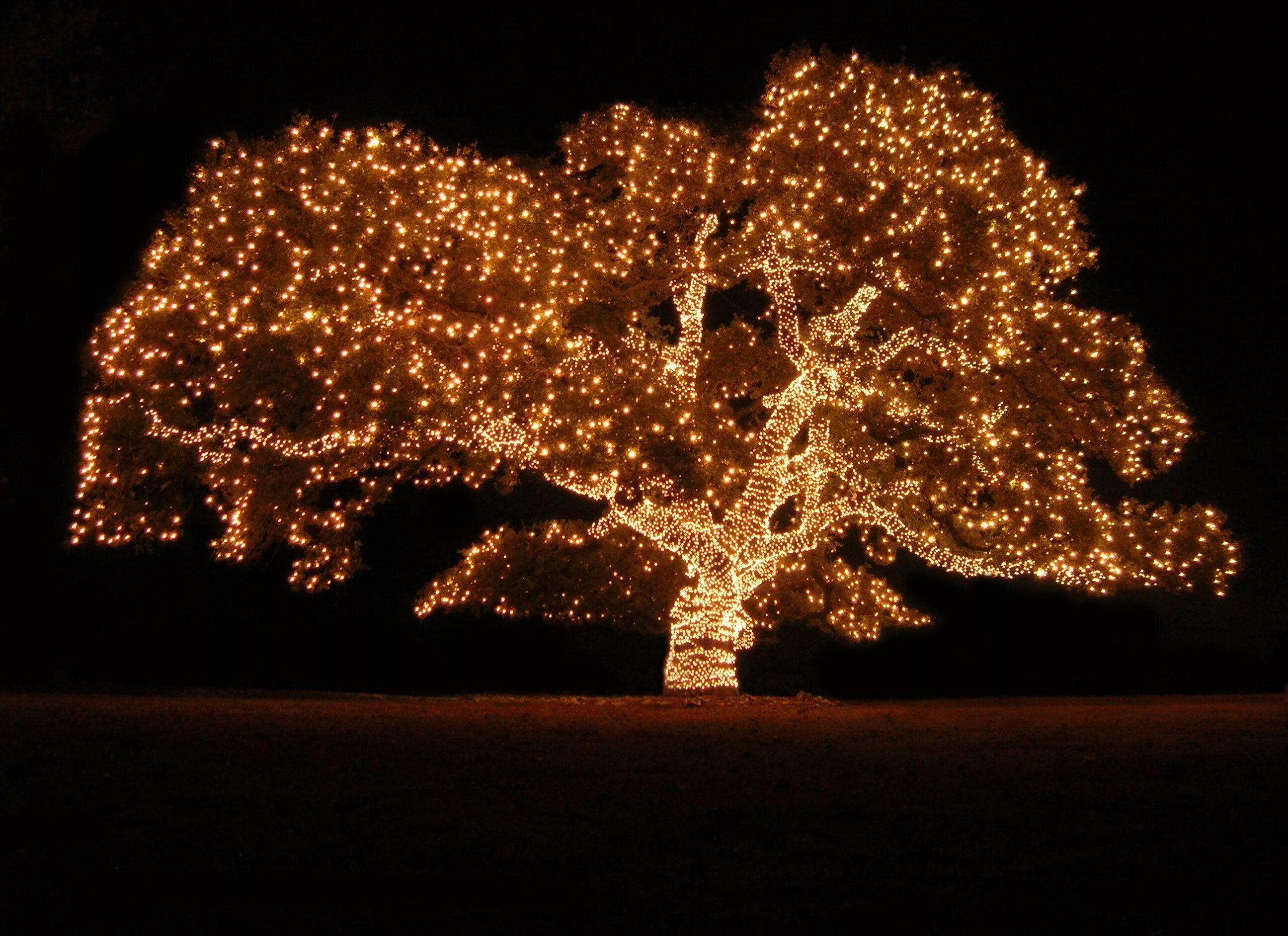 Light up the way