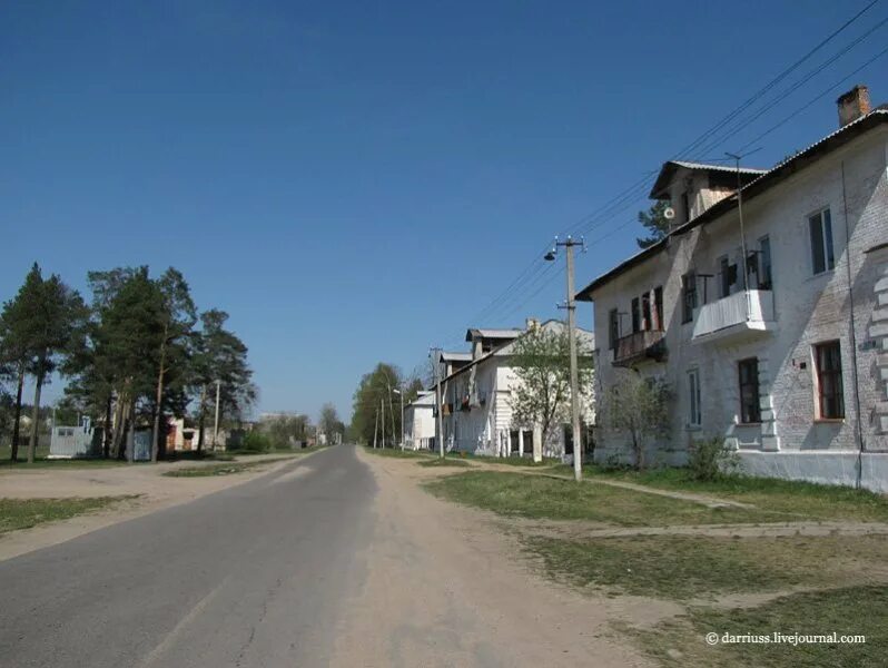 Зеленый бор фото Амбициозный проект по созданию в республике передового товарищества собственнико