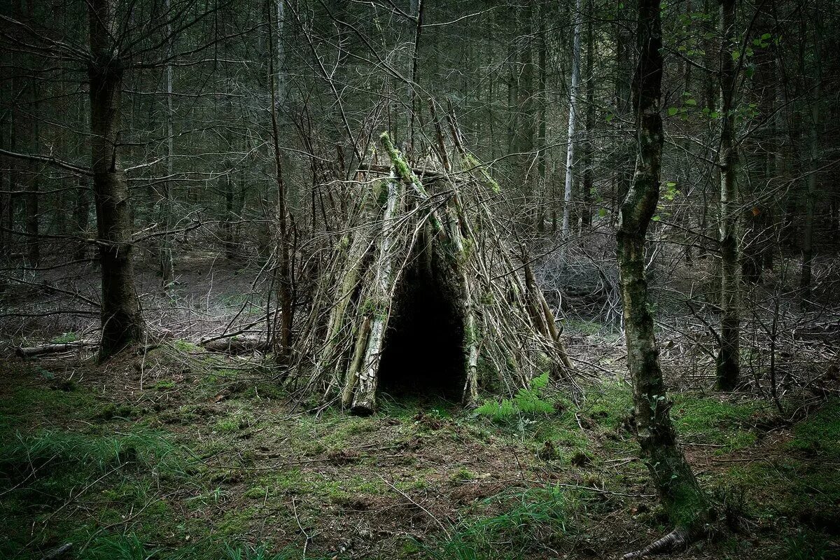 бушкрафт шалаш. бушкрафт хижины. лесной шалаш. курень соломенный шалаш. шалаш к.