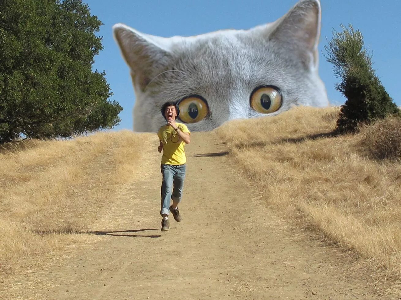 Забавный монтаж. Монтаж окон прикол. Прикольный монтаж кондиционеров. Шедевры фотошопа. Смешной кондиционер.