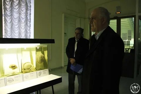 Анатомический эрмитаж