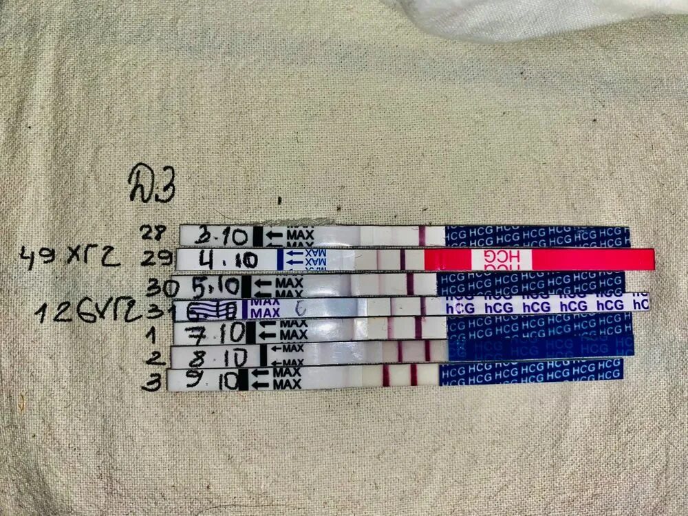 Dpo 4. Dpo 4. Dpo 4. 10 дпо тест. 4 дпо тест.