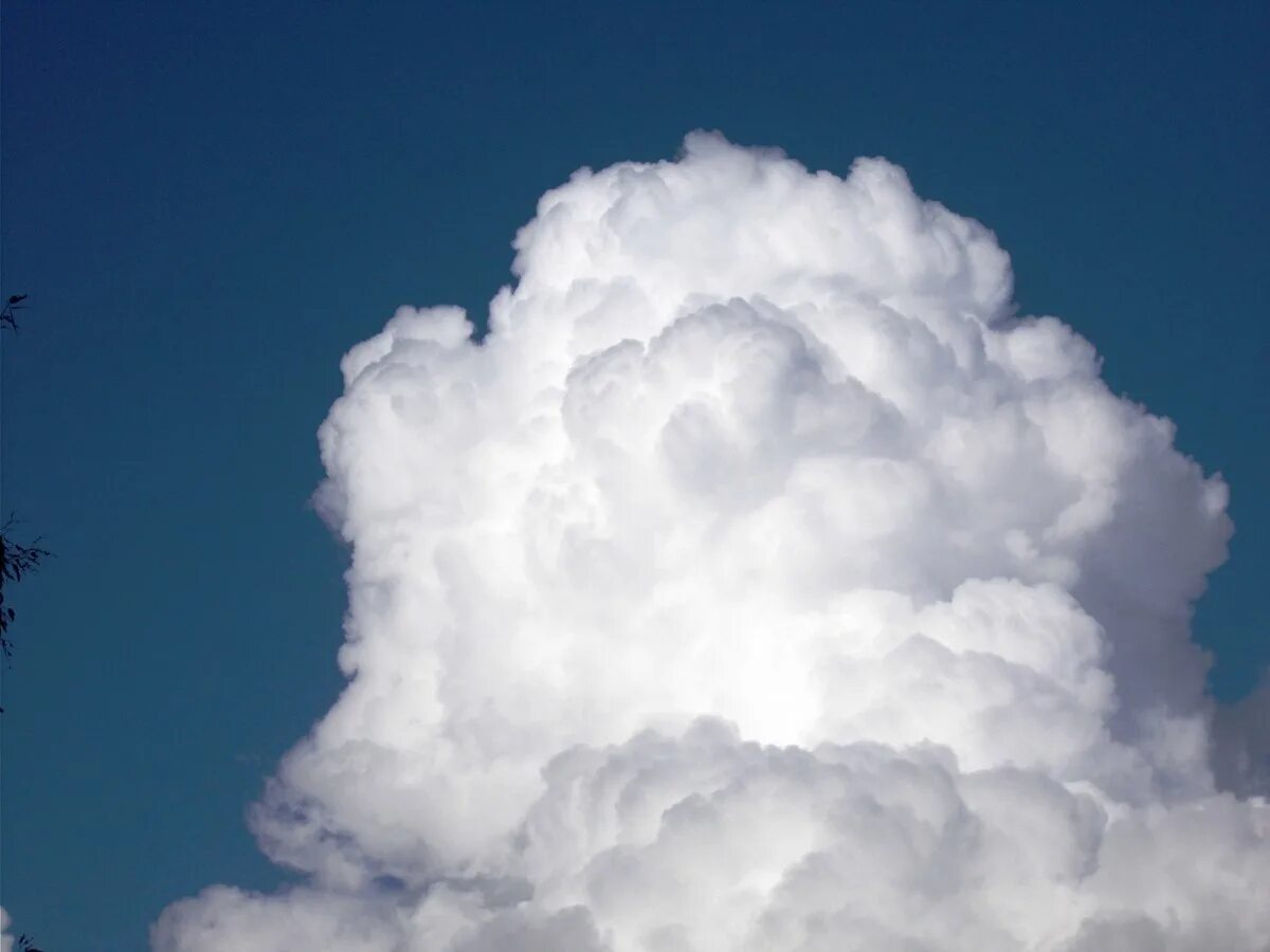 Интересные облака. Лишенное облаков. Облака. Лишенное облаков. Пышные облака.