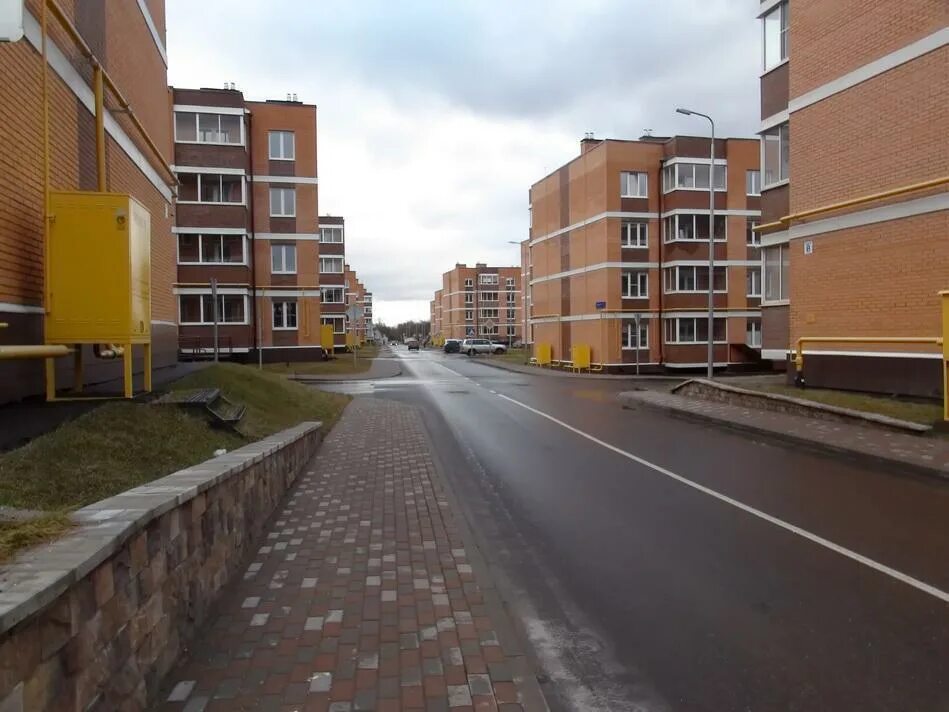 Деревня горчаково поселение первомайское. Деревня горчаково жк эко. Горчаково зеленая 7. Птичное новая москва. Экопарк горчаково.