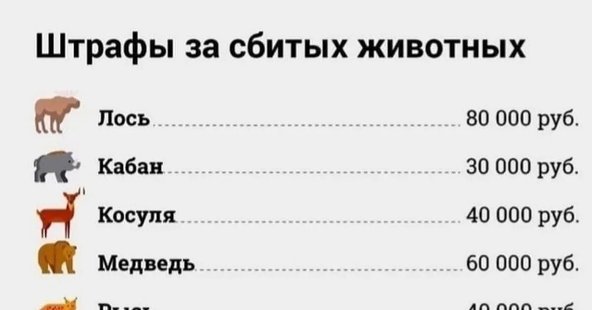 Штрафы за сбитых животных. Таблица штрафов за сбитых животных. Штраф за сбитого животного. Расценки за сбитых животных.