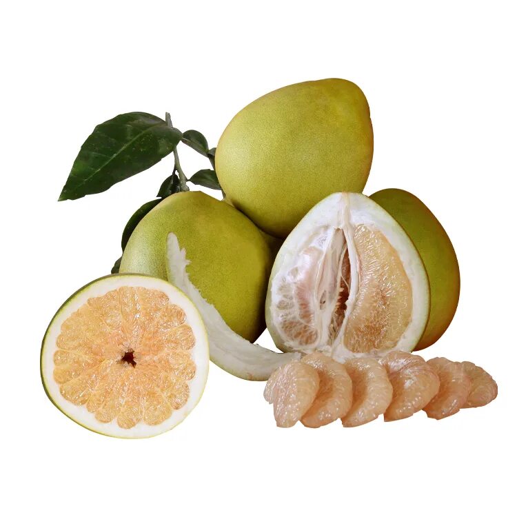 помело при панкреатите. фрукты в сетке. помело при панкреатите. памела фрукт. помело дольки.