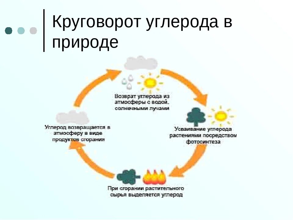 Последовательность этапов углерода. Круговоротуолерола в природе. Круговорот углерода в п. Круговорот со2 в природе схема. Круговорот углерода в природе.