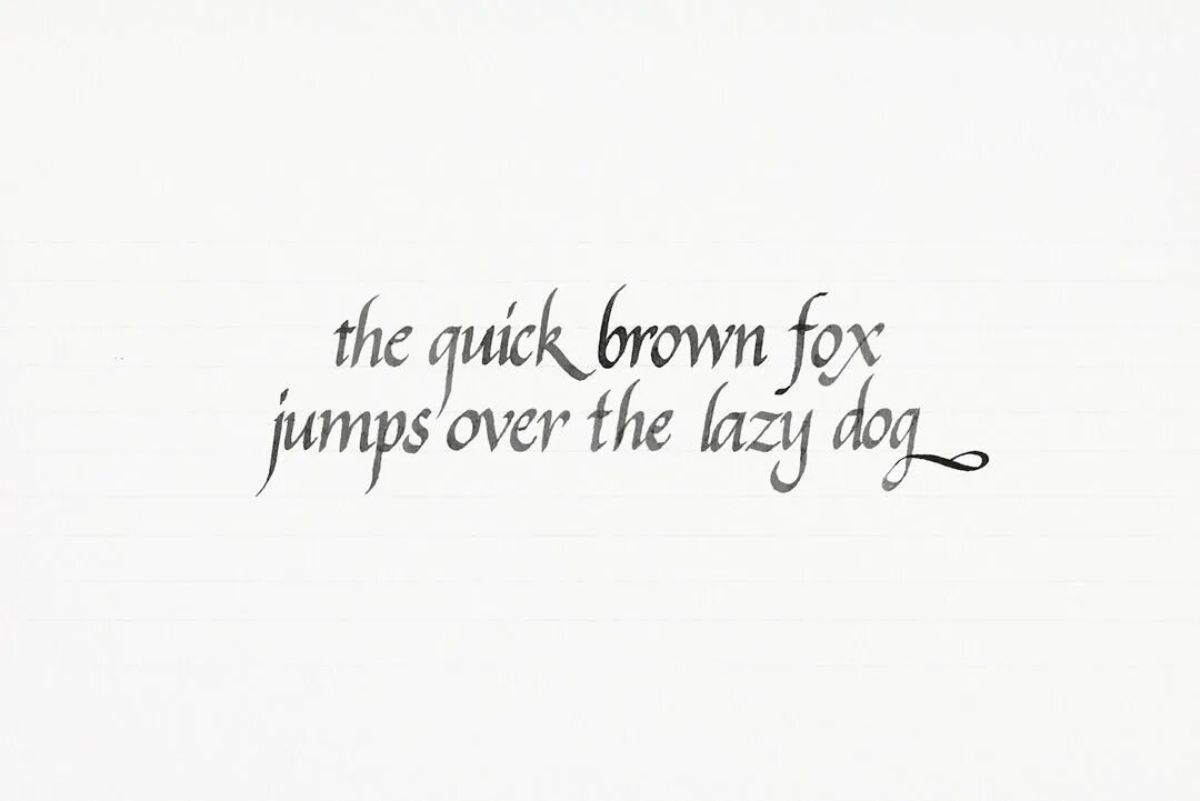 The quick brown fox jump. The quick Brown Fox Jumps over the Lazy Dog. The quick Brown Fox Jumps over the Lazy Dog перевод. Шрифт the quick. The quick Brown Fox Jumps over the Lazy Dog игра.