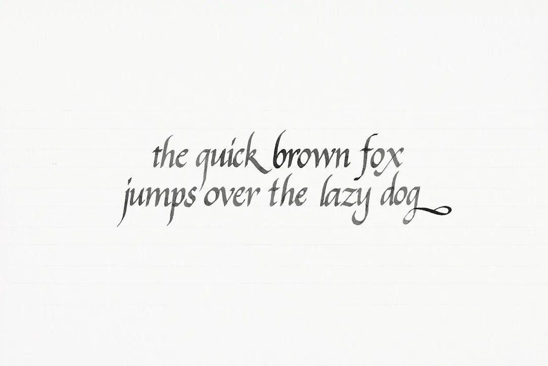 Lazy fox jumps over. The quick brown fox jumps over the lazy dog. the quick brown fox jumps over the lazy dog перевод. шрифт the quick. the quick brown fox jumps over the lazy dog игра.