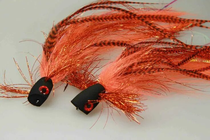 Jigköpfe Köder, Futtermittel & Fliegen Spinmad Kogut 25g Jig Köder Zander Hecht 
