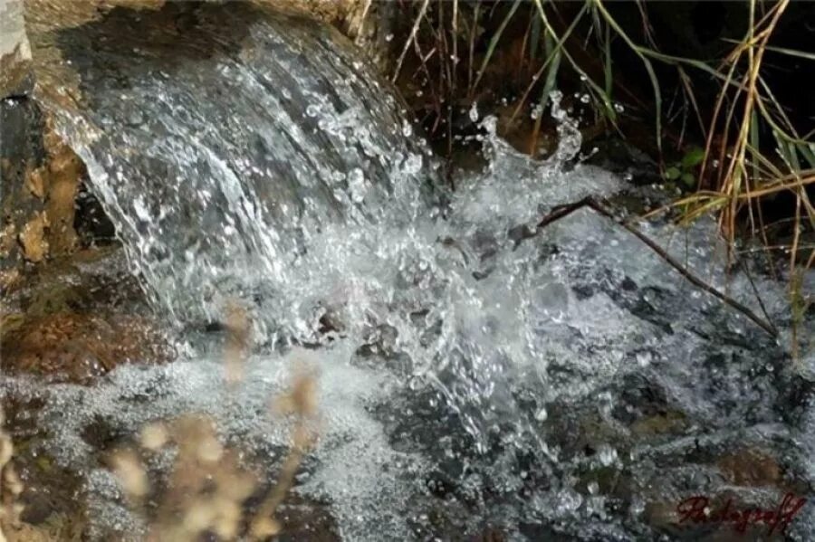 Происходящие родников. Живи Родник живи. Вода Родник. Родниковая вода. Вода чистый источник.