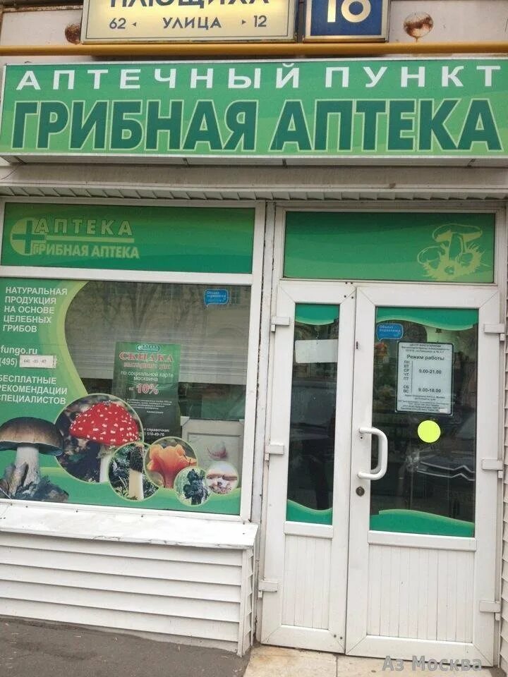 Грибная аптека санкт-петербург. Грибная аптека санкт-петербург. Грибная аптека санкт-петербург. Грибная аптека в спб. Грибная аптека михаила вишневского.