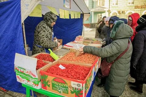 Ярмарка социальная в барнауле 2024 году расписание