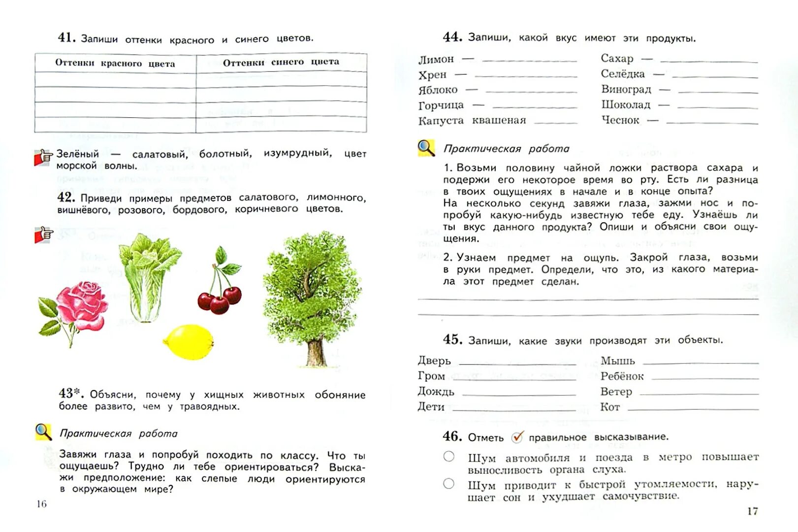 Задание по окр миру 2 класс. Задания для первого класса по окружающему миру. Задания по окружающему 1 класс. Задания по окружающему миру для1класа. Задания по окружающему 2 класс.