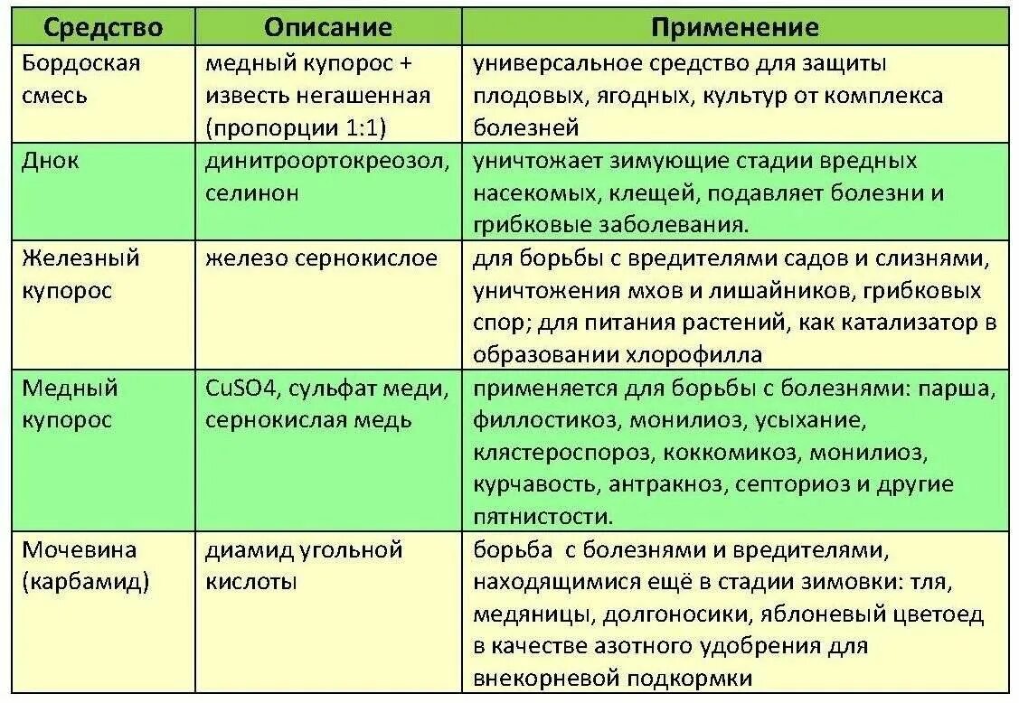 Когда можно обработать деревья медным купоросом весной