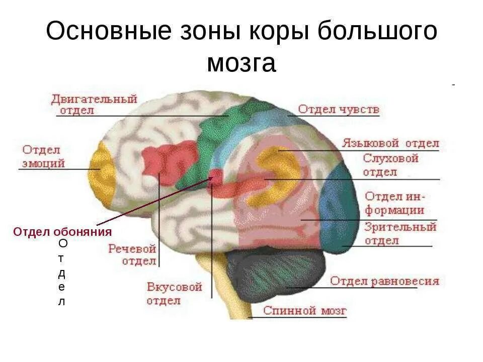 В каком отделе можно. В каком отделе можно
