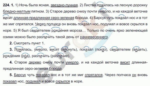 Русский язык второй класс упражнение 224. Ночь была Ясная звёздно Лунная. Ночь была Ясная звёздно Лунная листва ложилась на лесную дорожку. Полный синтаксический разбор всего опаснее были ясные , Звёздные ночи. Я подсёк и выбросил на берег крупного окуня синтаксический разбор.