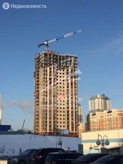 Ломоносов новосибирск