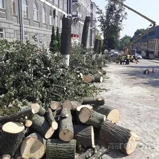 Возле дома спилили дерево