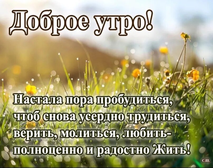 Благосклонного дня. Открытки с добрым утром и здоровья. доброе утро с пожеланиями здоровья. пожелания доброго утра и благословенного дня. православные пожелания доброго дня.