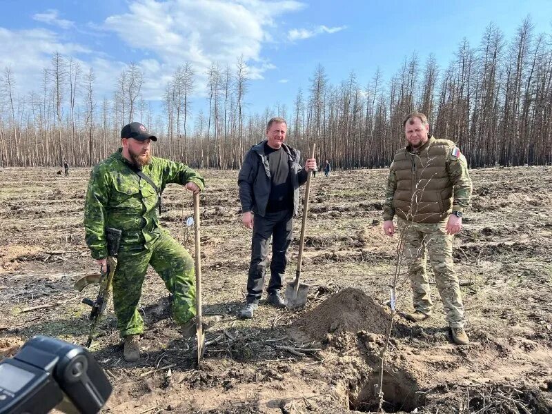 северодонецк последние новости телеграмм