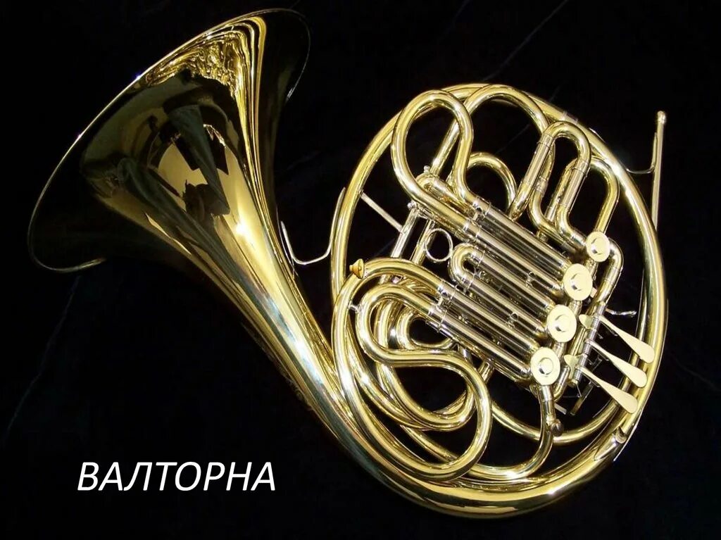 Валторнисты театра оперы и балета пермь. Валторна симфонический оркестр. Валторна симфонический оркестр. Чикагский филармонический оркестр. Grbt alexander валторна.