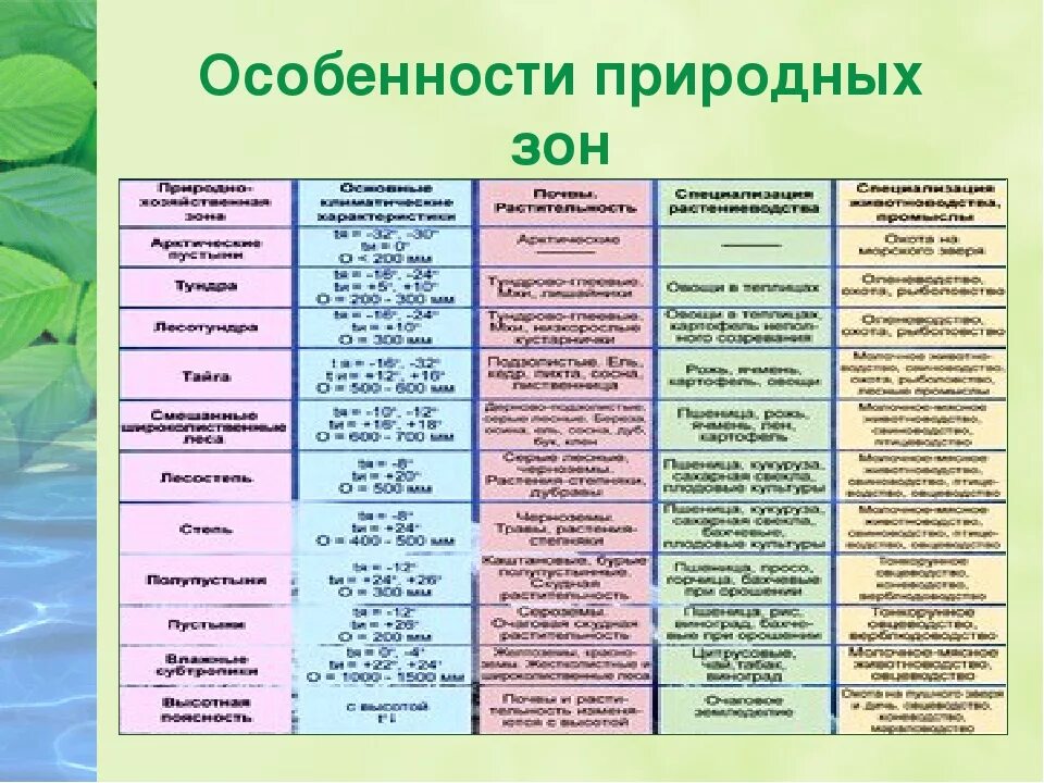 В какой природной зоне нет понятия сезонность