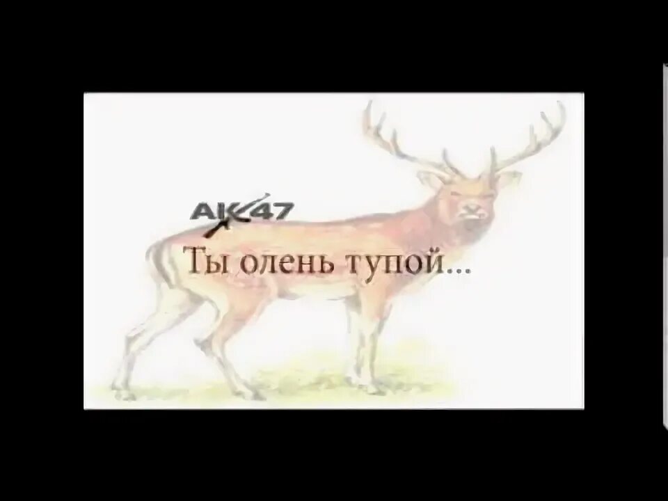 Ак 47 ты олень. Песня ак 47 олень. Песня ак 47 олень. Ты олень. Песня ак 47 олень.