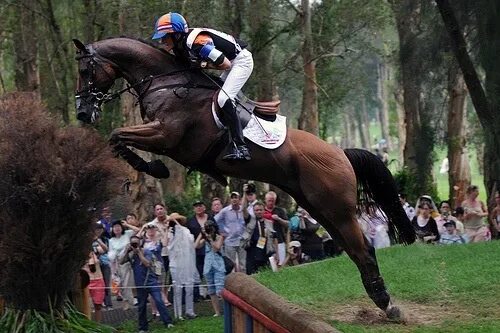 3 day eventing. Троеборье кросс конный спорт. Кросс Кантри конный спорт. Кросс лошади. Кросс конный спорт Эстетика.