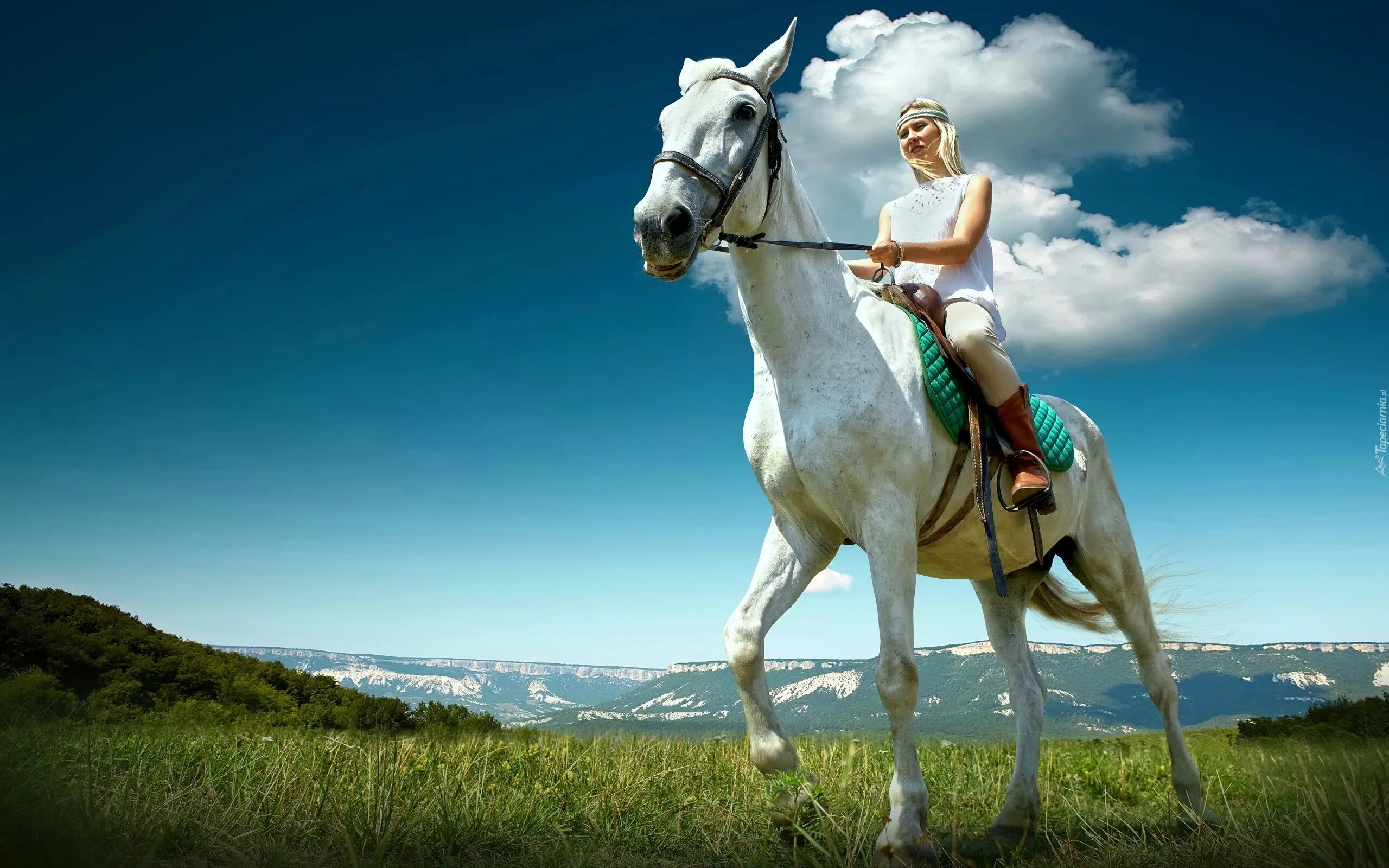 Riding on a white