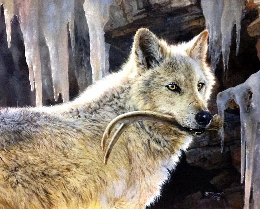 Бонни маррис (bonnie marris). Волк серый. Волк серый. Волк серый. Волк 90 читать полностью.