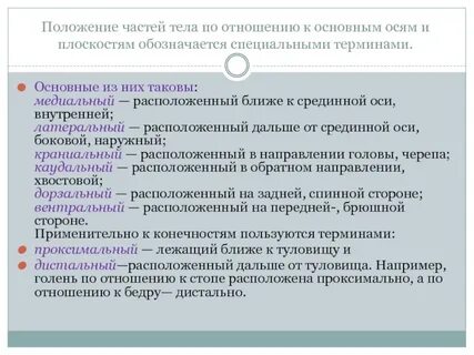 Назовите термин обозначающий