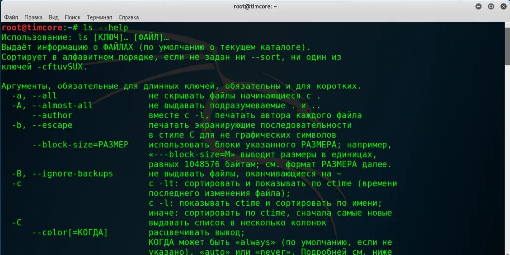 Команды терминала lethal. Команды терминала Linux. Команды линукс терминал. Linux Terminal команды. Команды для kali Linux терминал.