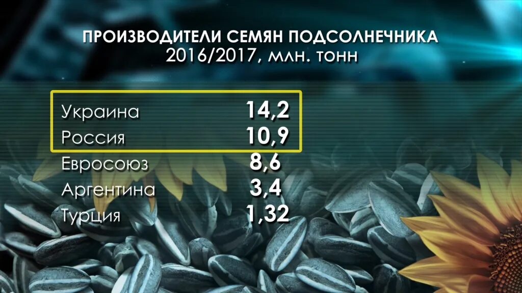 Производителей подсолнечника. Семечки производители. Производители семян подсолнечника в России. Семечки подсолнечника производители.