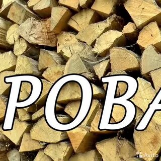 Слово дровишки