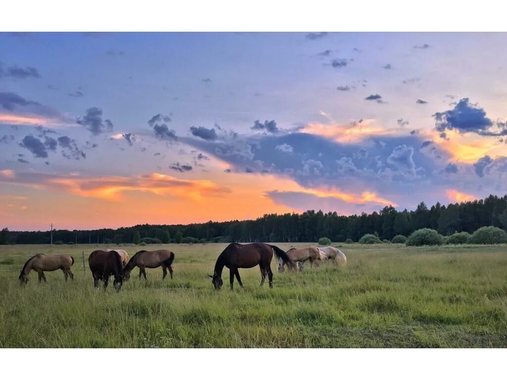 Фотография малой родины. Пейзаж Родины. Пейзаж моя Родина. Пейзаж малой Родины фото. Владимирские просторы.