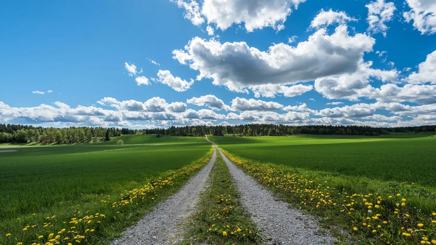 Clear field