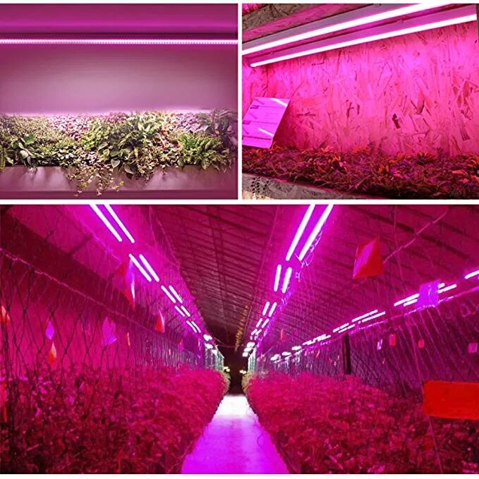 Фитолампа led grow Light. Фитолампа f4054. Фитосветильник 35 Вт полный спектр. Фитолампа Инхом 15вт. Led полный спектр