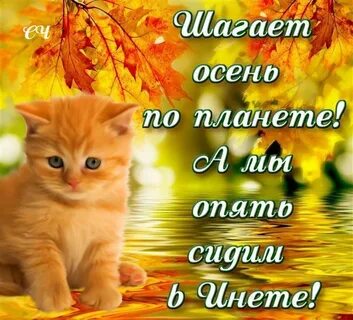 Статус первый день осени