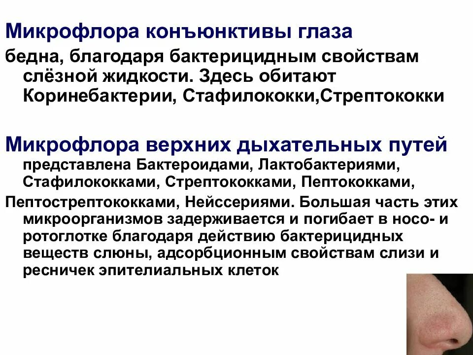 Микрофлора конъюнктивы. Конъюнктива склеры строение. Функции микрофлоры кожи. Микрофлора конъюнктивы. Бактериальный (стафилококковый) конъюнктивит.