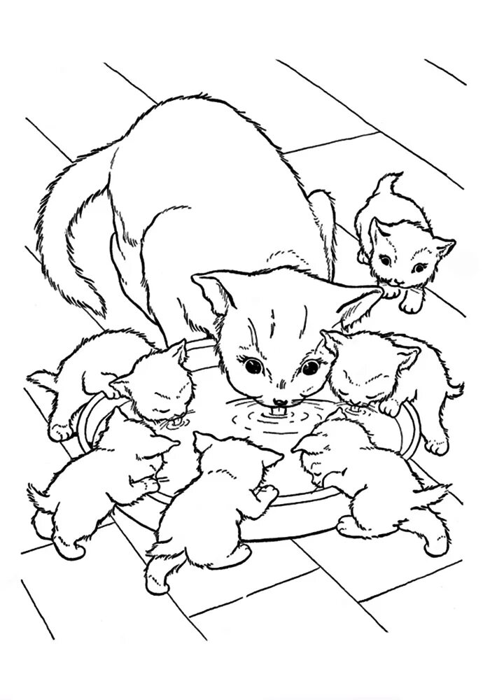 Распечатки котиков раскраски