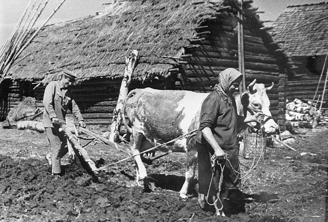 Жизнь в деревнях ссср. Деревни крестьяне 1939 Западная Беларусь. Колхозы в годы войны 1941-1945. Село в тылу в 1941 году. Сельское хозяйство в годы войны 1941-1945.