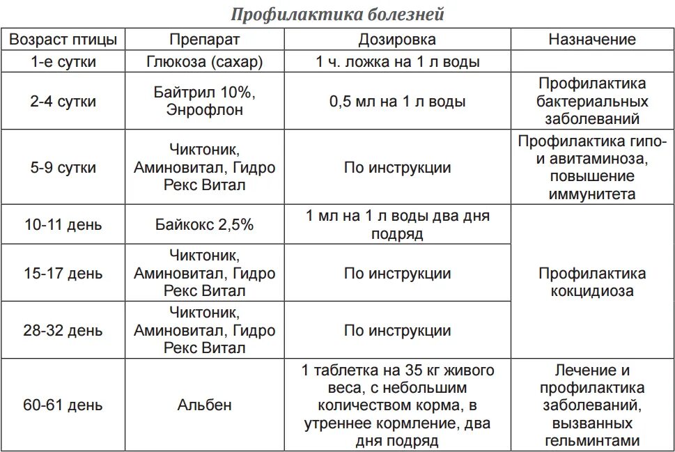 Дозировка на 10 литров воды. Схема пропойки бройлеров с первых дней. Схема выпойки бройлеров с первого. Схема пропойки бройлерных цыплят. Схема выпойки цыплят бройлеров с первого дня.